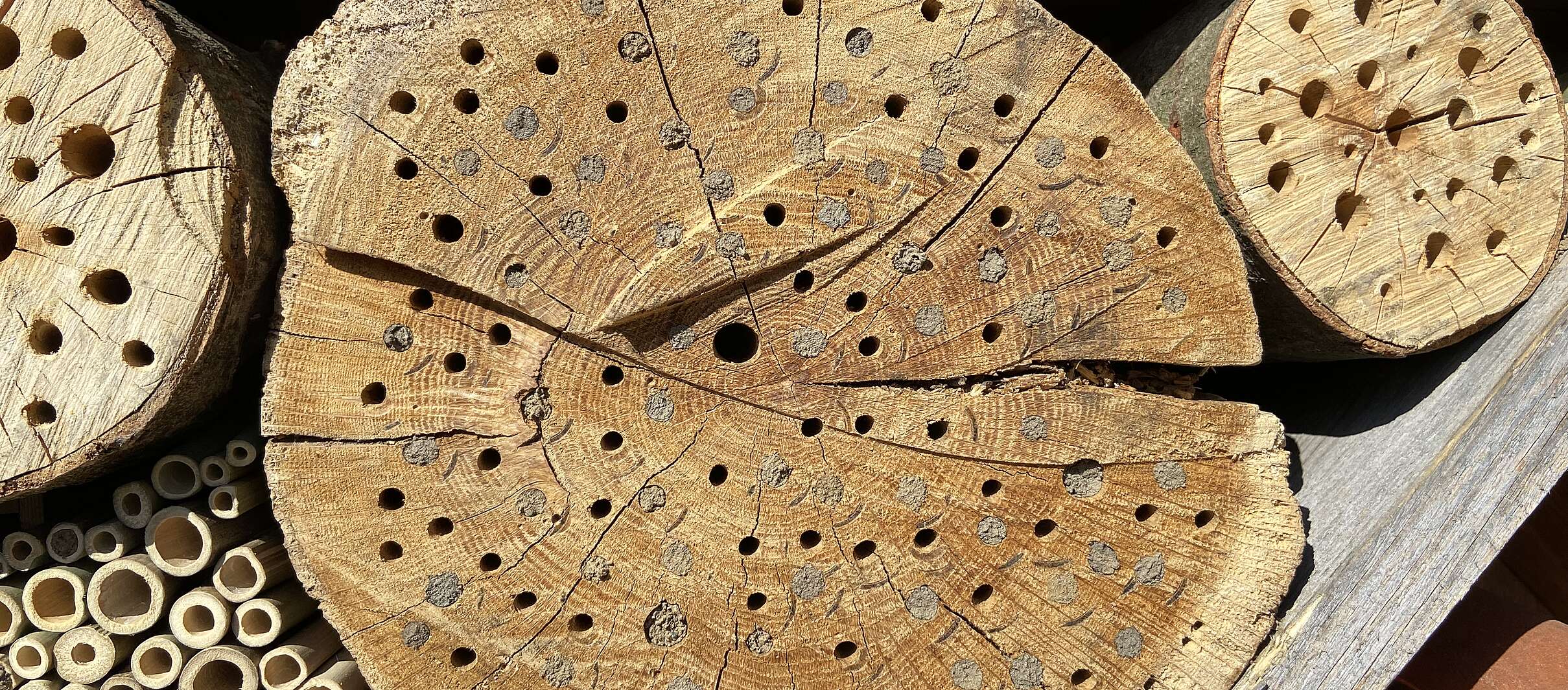Detail van kamertjes in het insectenhotel in de tuin van ecowijk Mandora in Houten foto gemaakt door Aram